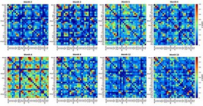 Aging Reduces the Functional Brain Networks Strength—a Resting State fMRI Study of Healthy Mouse Brain